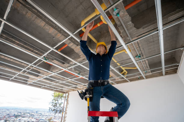 Best Plumbing Installation Services  in Roseville, MI